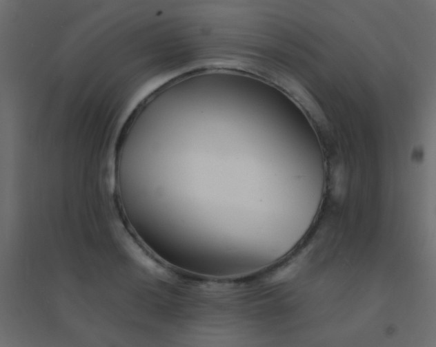 X0000094931036200712131532