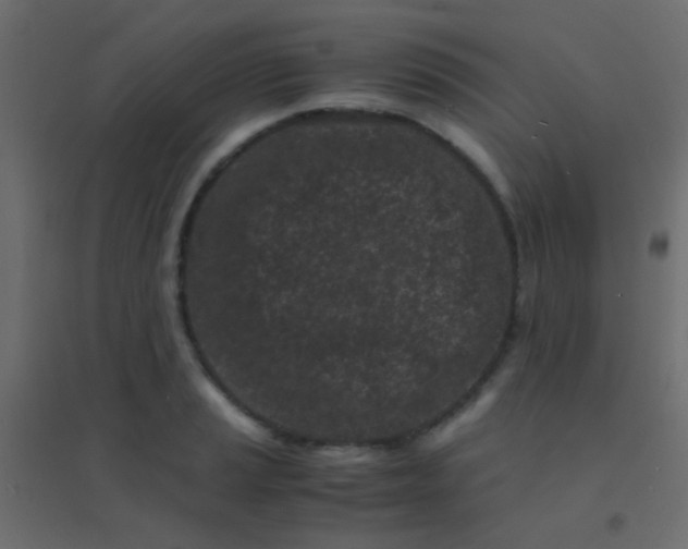 X0000094931037200712131532