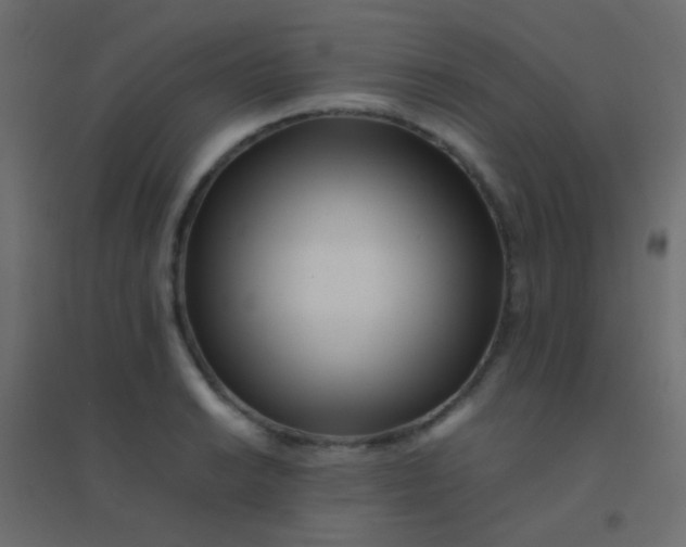 X0000094931038200712131532