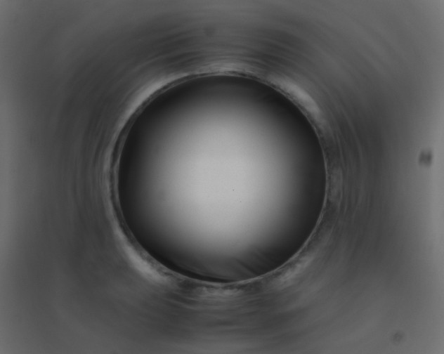 X0000094931039200712131532