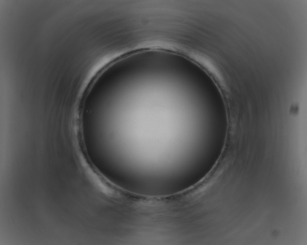 X0000094931040200712131532