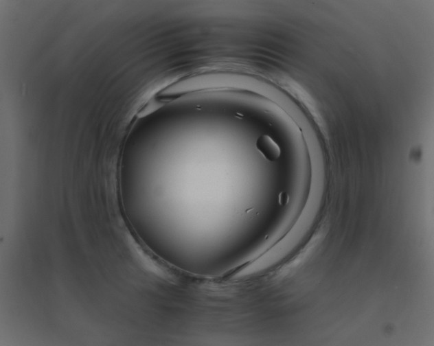 X0000094931041200712131532