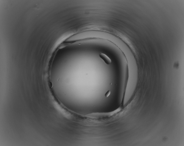 X0000094931042200712131532