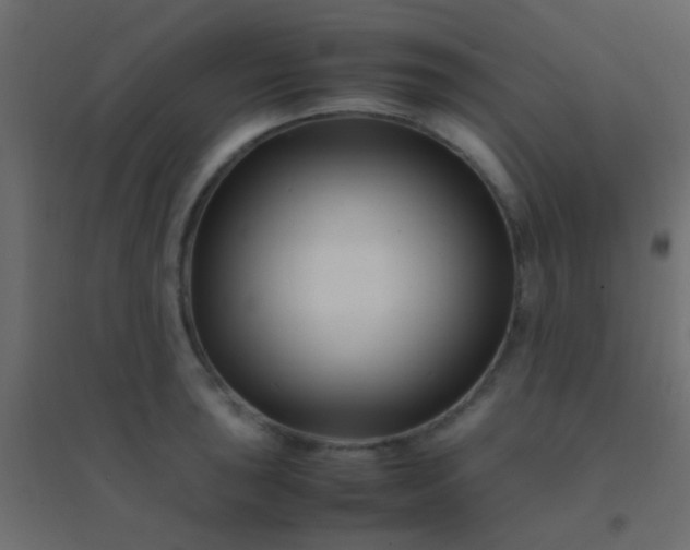 X0000094931043200712131532