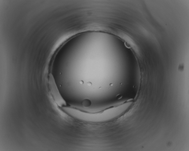 X0000094931046200712131533