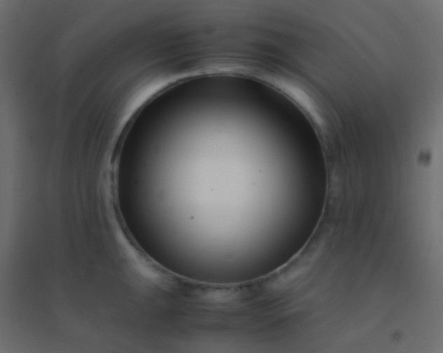 X0000094931047200712131533