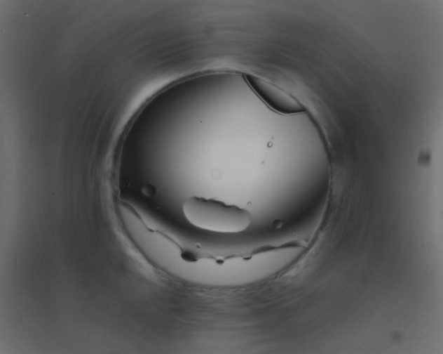 X0000094931048200712131533