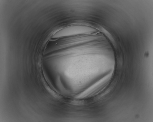 X0000094931049200712131533