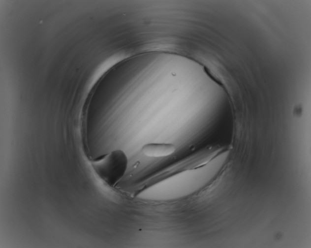 X0000094931050200712131533