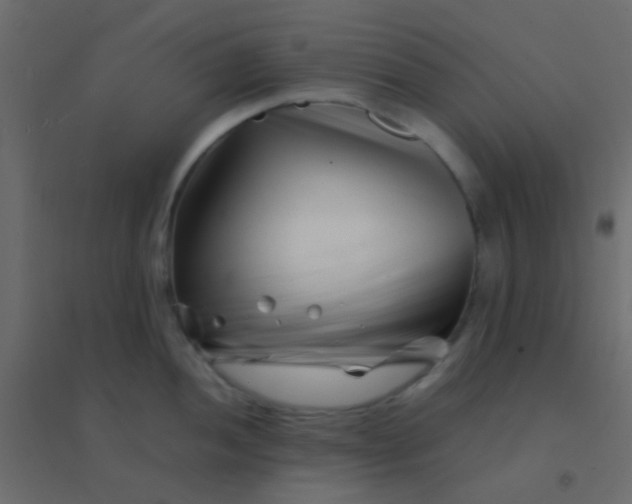 X0000094931052200712131533