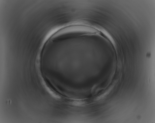 X0000094931053200712131533