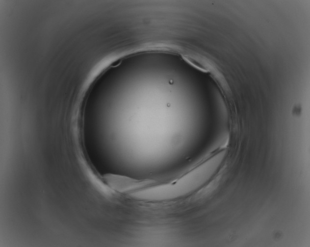 X0000094931054200712131533