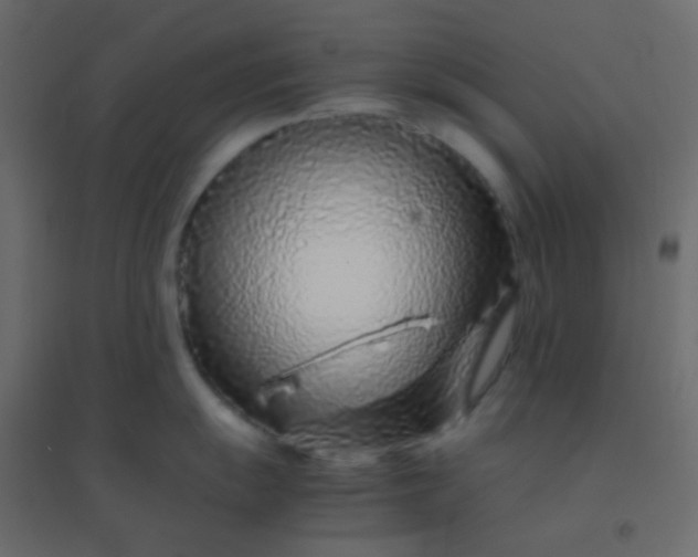 X0000094931055200712131533