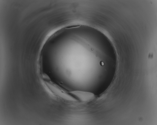X0000094931056200712131533