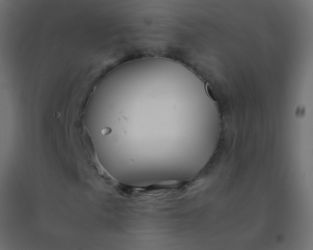 X0000094931057200712131532