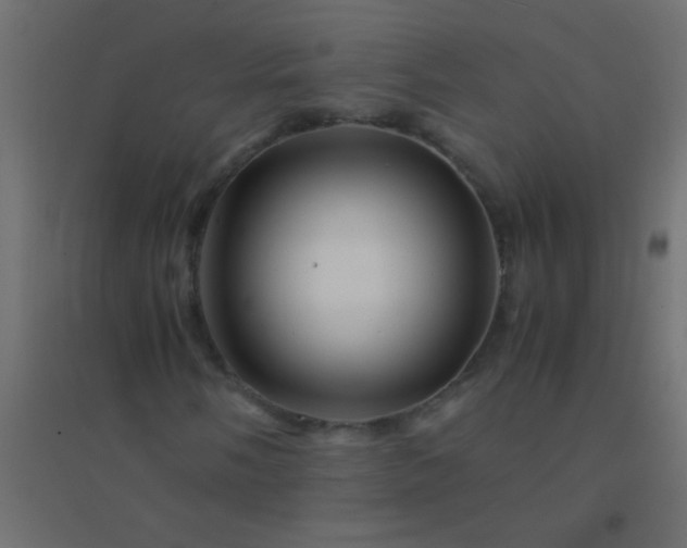 X0000094931058200712131532