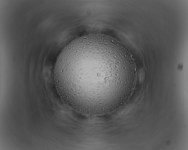 X0000094931059200712131532