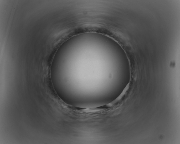 X0000094931061200712131532