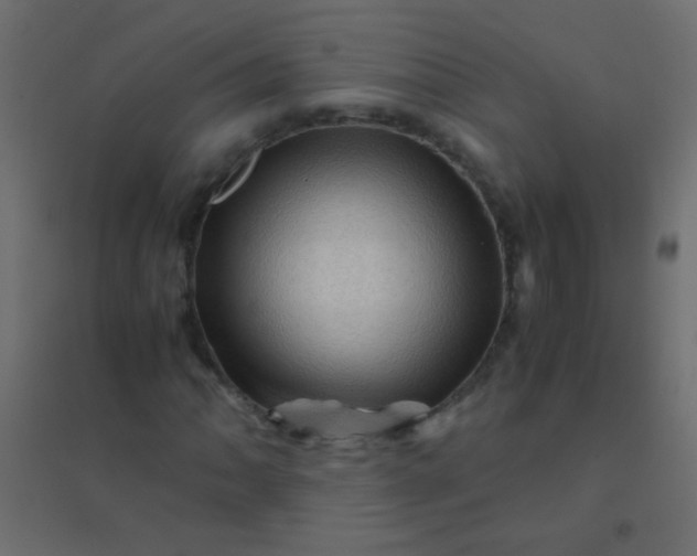 X0000094931062200712131532