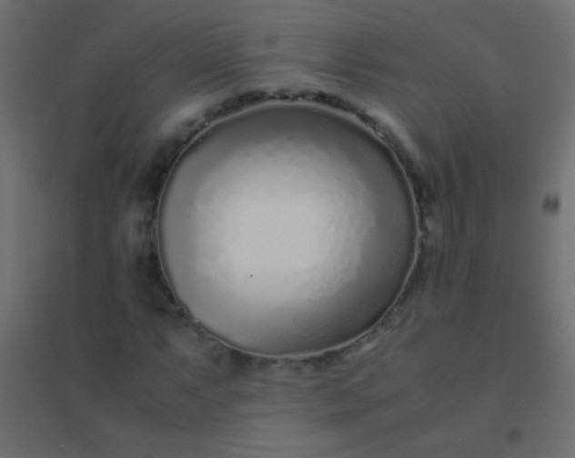 X0000094931063200712131532