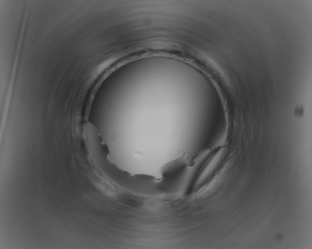 X0000094931065200712131532