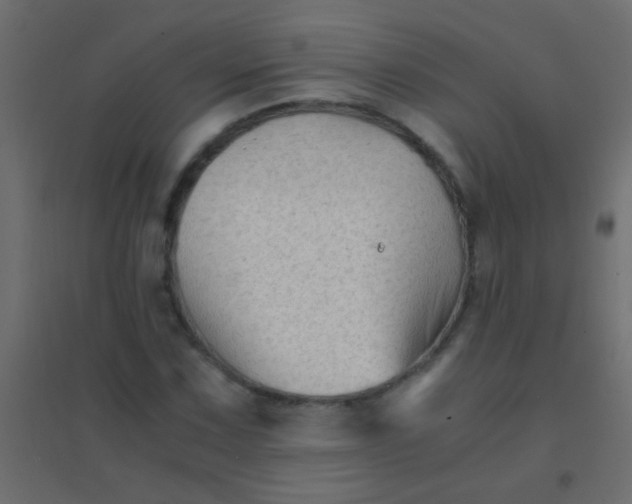 X0000094931067200712131532