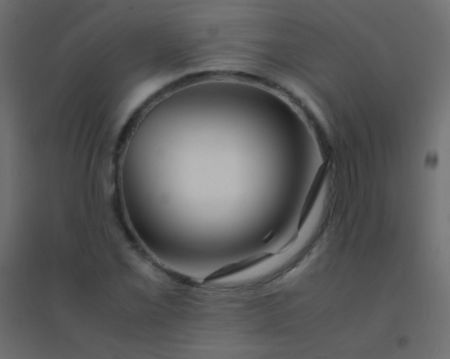 X0000094931069200712131532