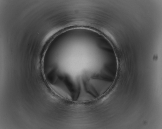 X0000094931070200712131532