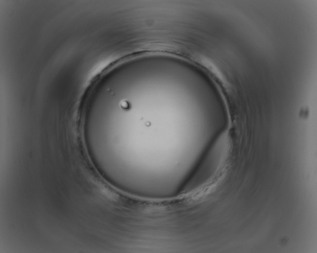 X0000094931071200712131532