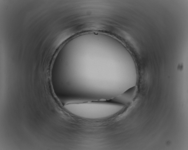 X0000094931073200712131532