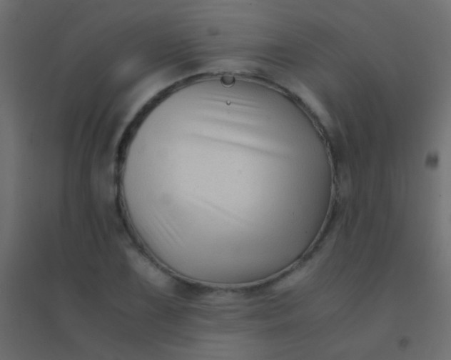 X0000094931075200712131532