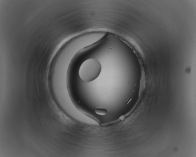 X0000094931076200712131532