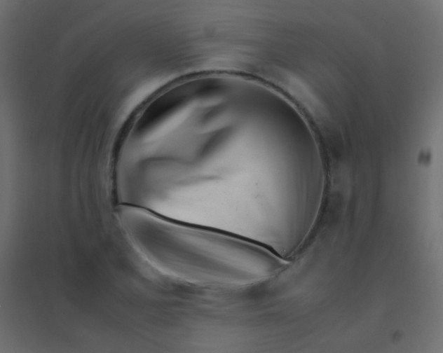 X0000094931077200712131532