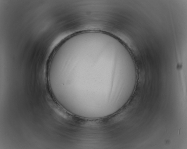 X0000094931078200712131532