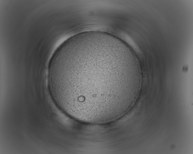 X0000094931079200712131532