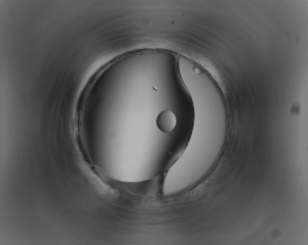 X0000094931080200712131532