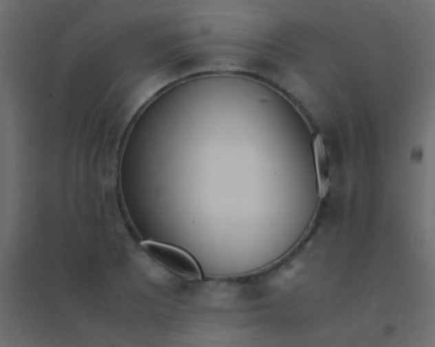 X0000094931081200712131532