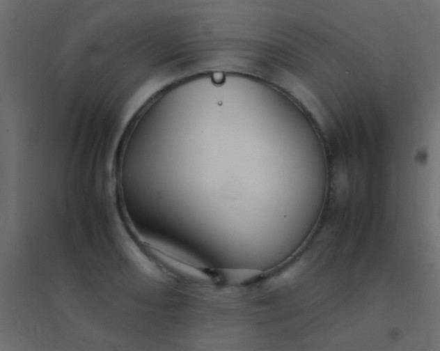 X0000094931082200712131532