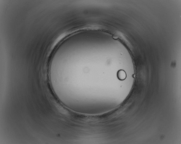 X0000094931083200712131532