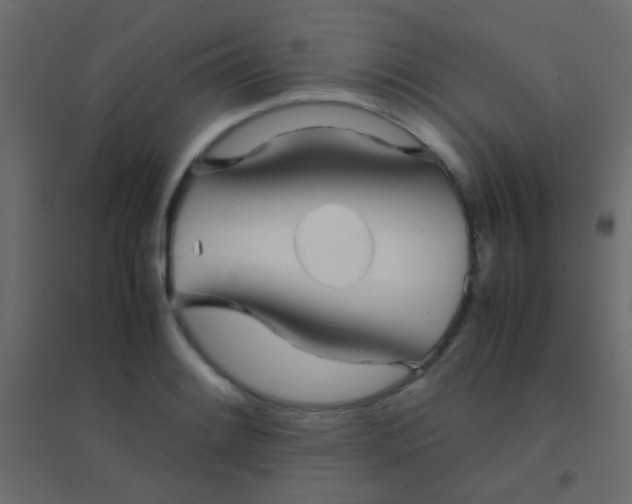 X0000094931084200712131532