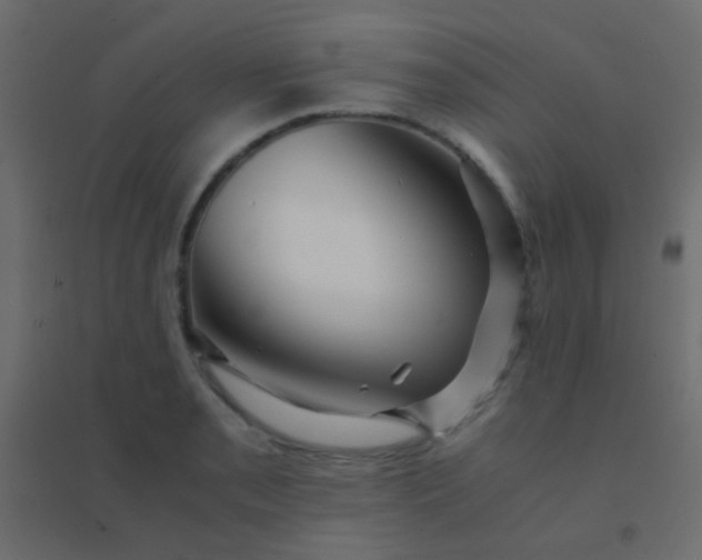 X0000094931085200712131532