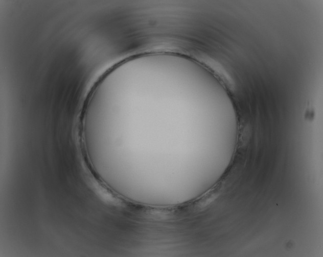 X0000094931086200712131532