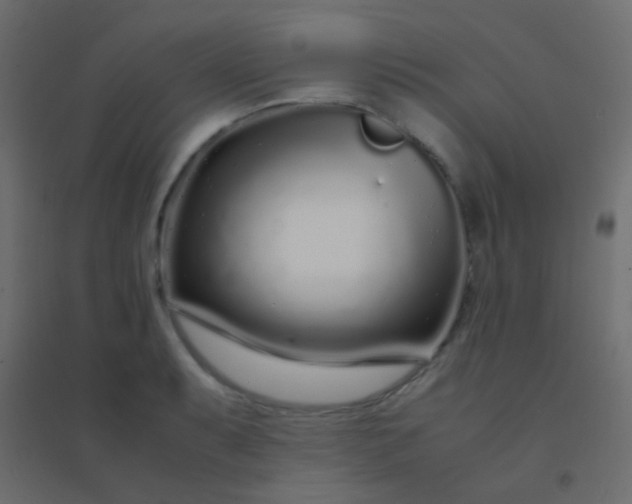 X0000094931087200712131532