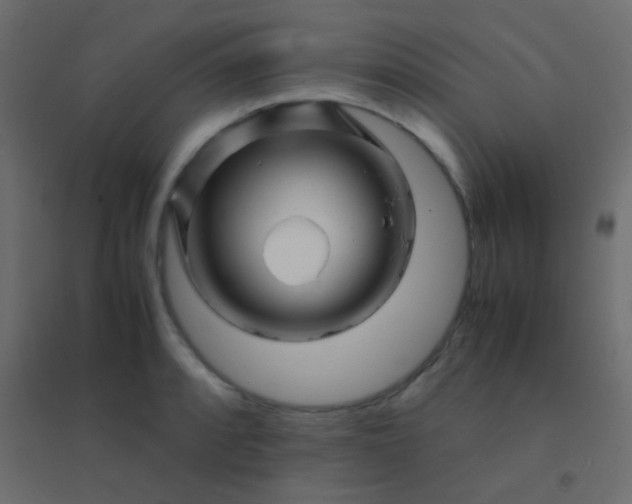 X0000094931088200712131532