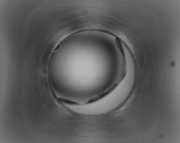 X0000094931089200712131532