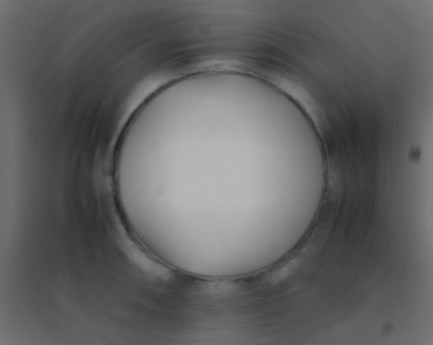X0000094931090200712131532