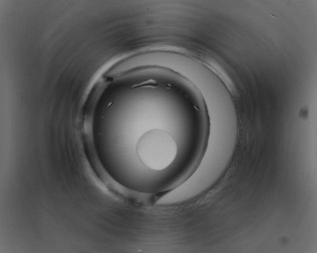 X0000094931092200712131532