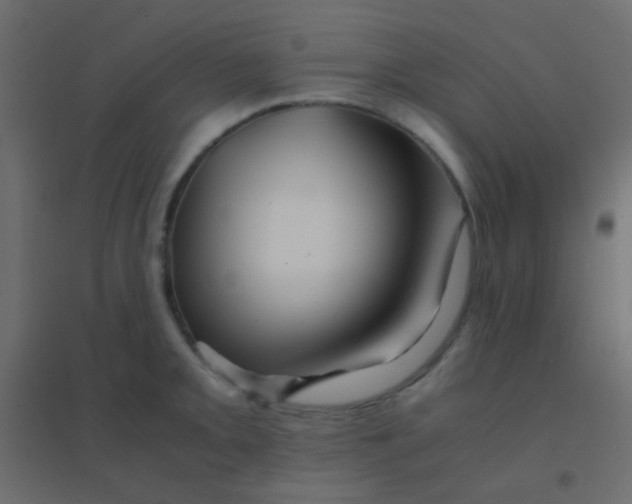X0000094931093200712131531