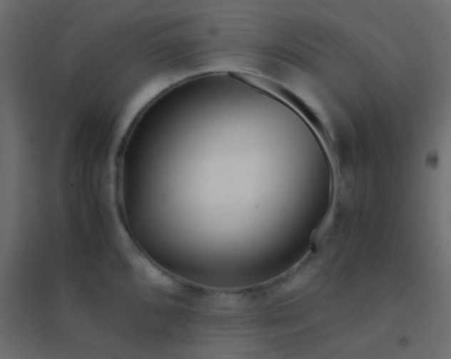 X0000094931096200712131531