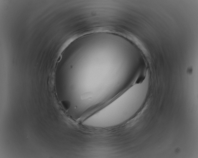 X0000094931097200712131531
